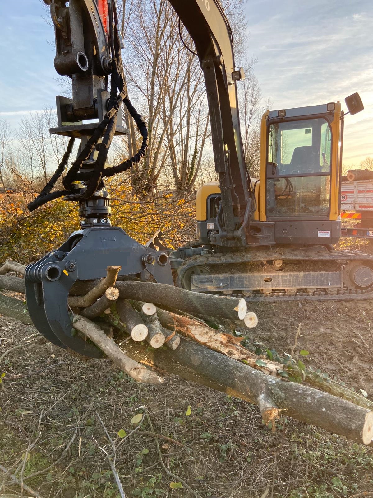 pinza forestale per legna a noleggio a Padova, Vicenza e Venezia