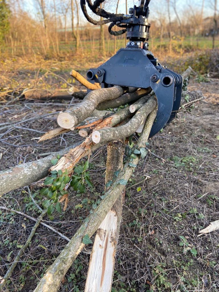 Noleggio Pinza Forestale