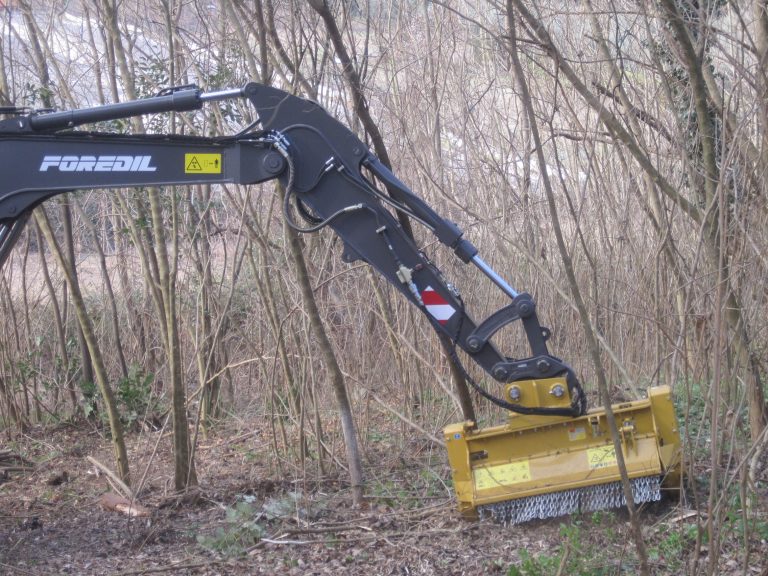 Noleggio Trincia Forestale