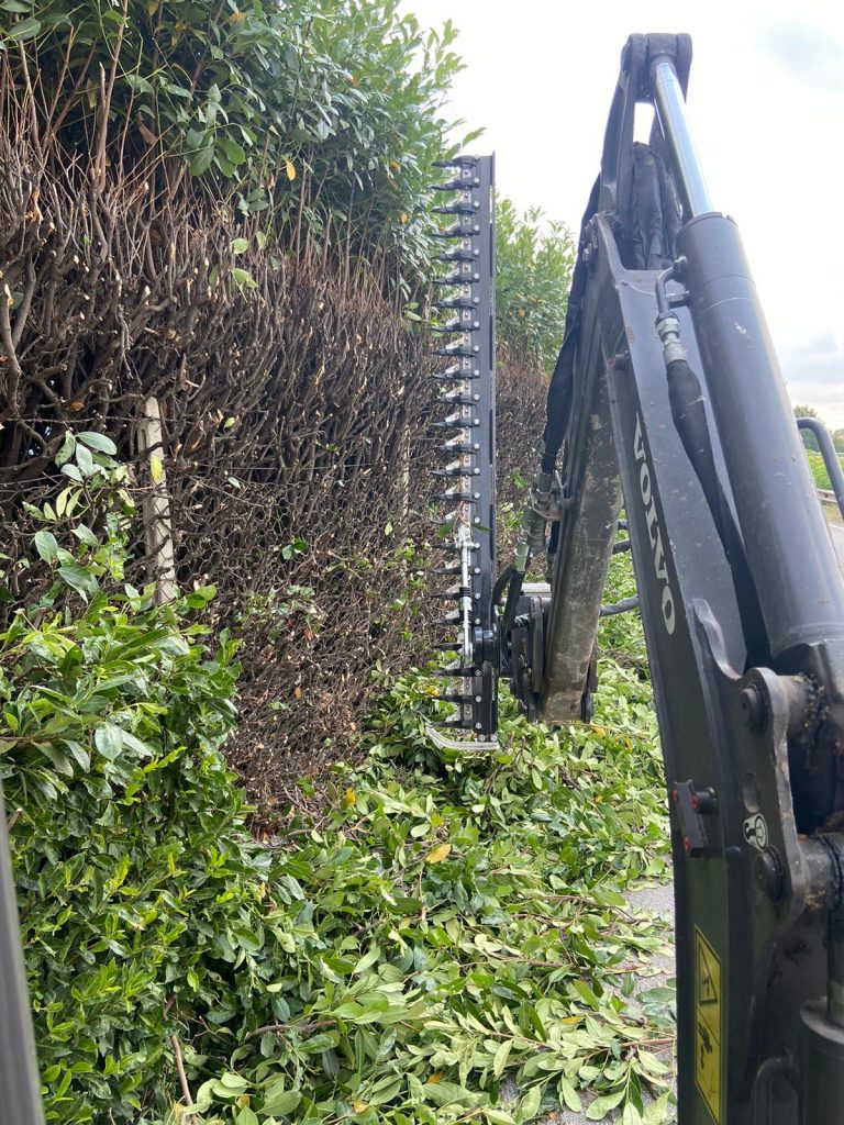 Noleggio Tagliasiepi