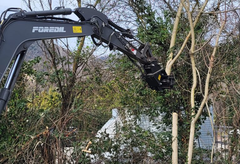 Noleggio Cesoia Forestale